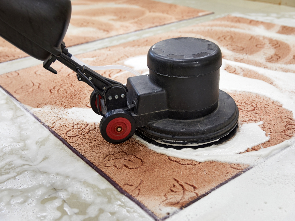Charlotte NC Carpet Cleaning Charlotte NC Carpet Cleaning