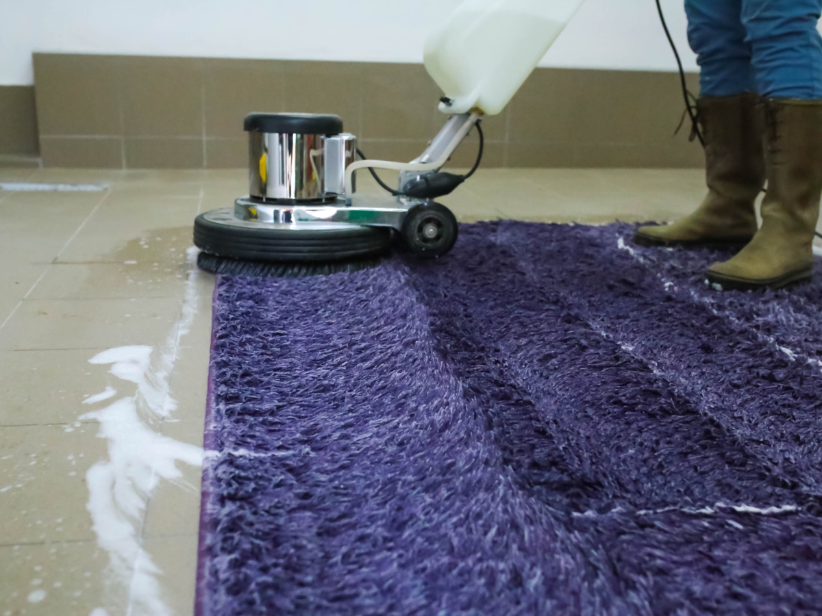 Charlotte NC Carpet Cleaning