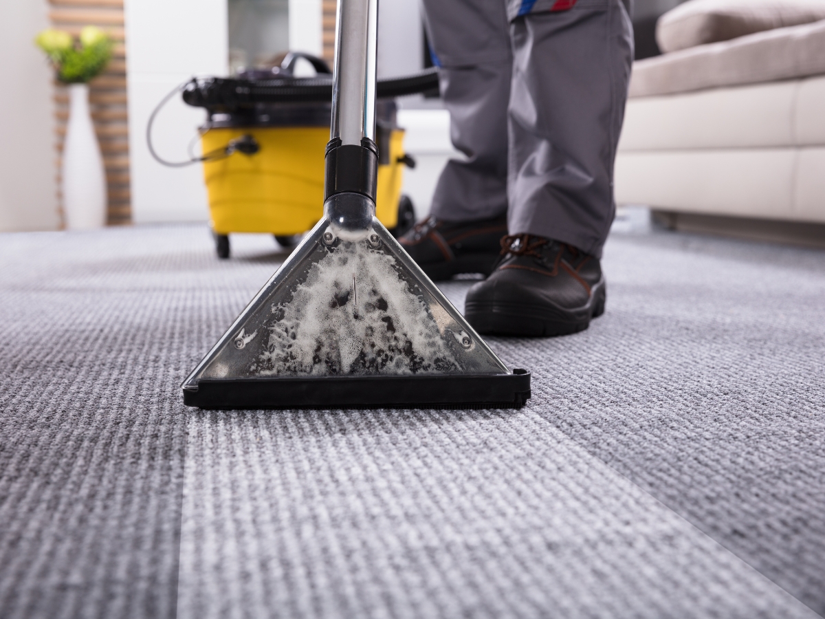 Charlotte NC Carpet Cleaning
