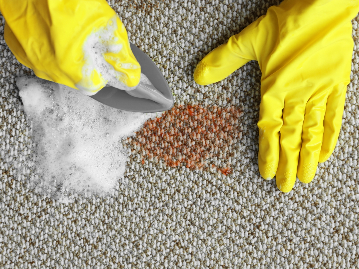 Charlotte NC Carpet Cleaning